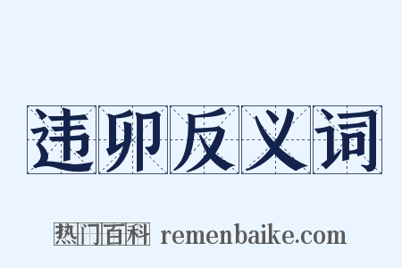 违卯反义词是什么意思的图片